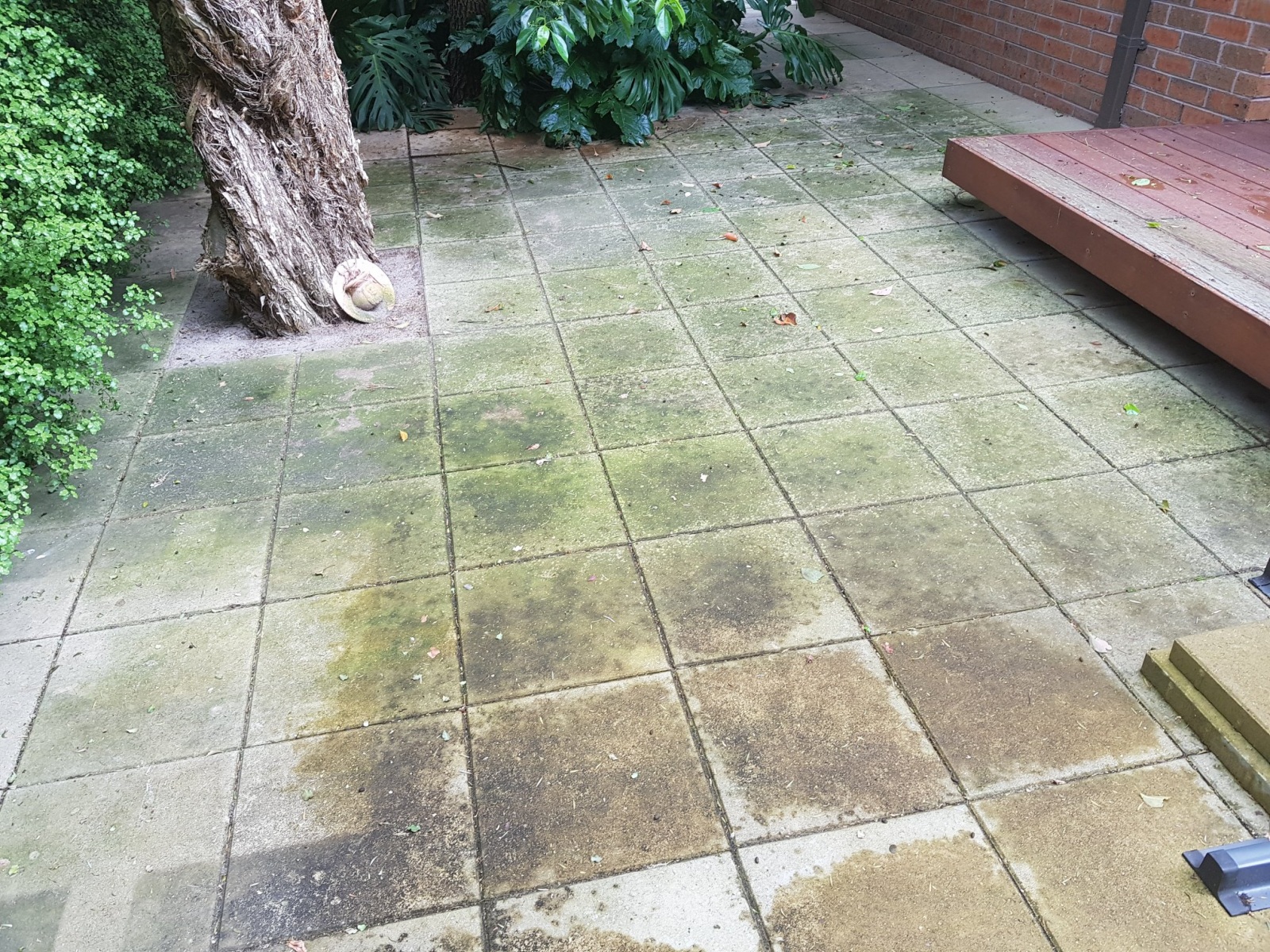 Photo Gallery Steves Steam Clean Tile & Grout & High Pressure Cleaning