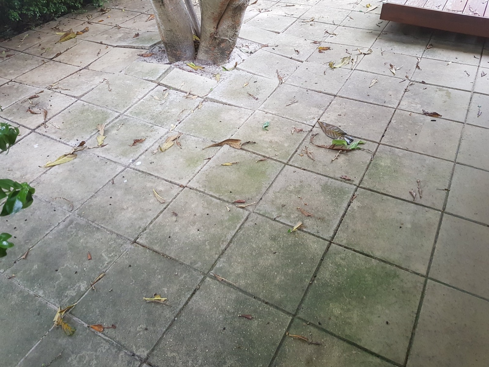 Photo Gallery Steves Steam Clean Tile & Grout & High Pressure Cleaning